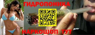крисы Кинель