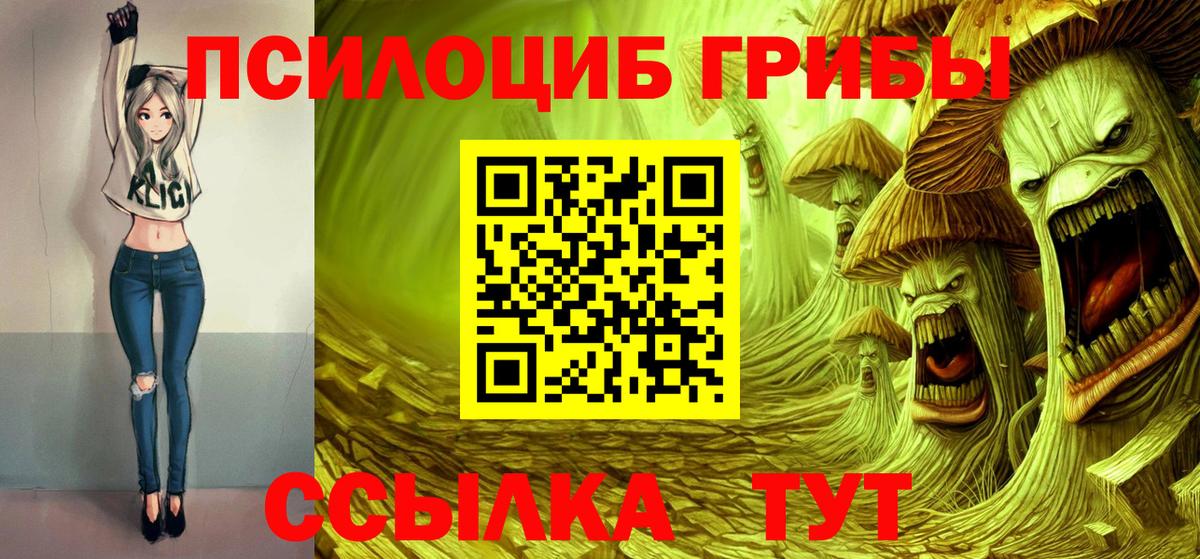 Галлюциногенные грибы GOLDEN TEACHER Старая Русса